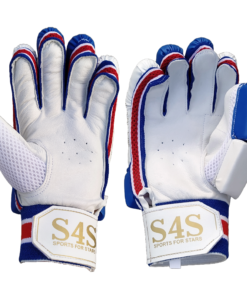 Cricket batting GLOVES boy