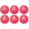 Leather Cricket Balls pink pack of 6