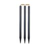 Wooden Cricket Stumps with Bails black