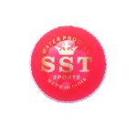 Leather Cricket Ball, 4 Piece Construction, Color Pink, 50 Overs, Premium Leather Cricket Ball for Exceptional Speed, Accuracy, and Swing (Pack of 1)