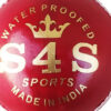 Red Leather Cricket Ball – 2 Piece, Waterproof (Pack of 1)